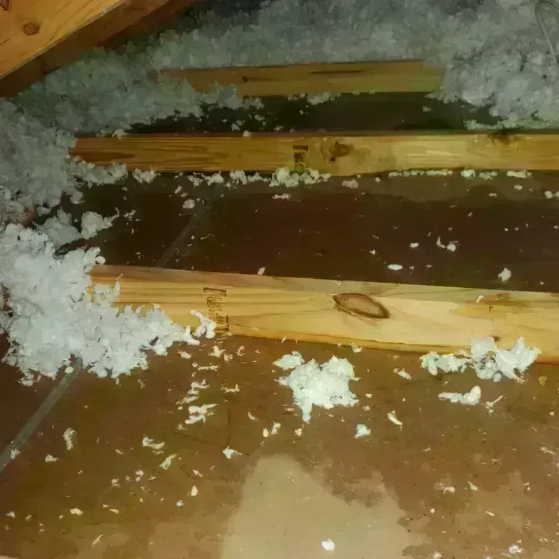 Attic Water Damage in South Kensington, MD